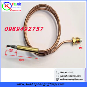 cảm biến ngoạn lửa bếp âu